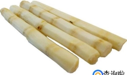 甘蔗的功效和作用有些什么