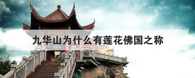 九华山为什么有莲花佛国之称