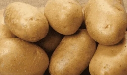 女人吃土豆的好处