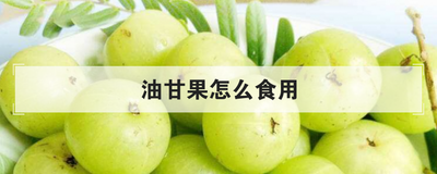 油甘果怎么食用