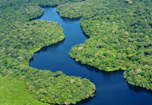 世界上最大的平原