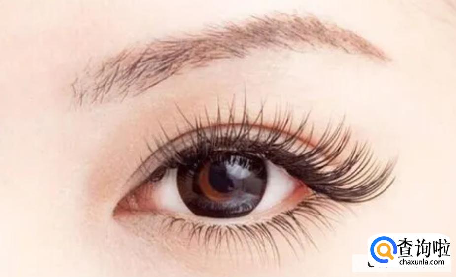 如何画出美丽的淡妆