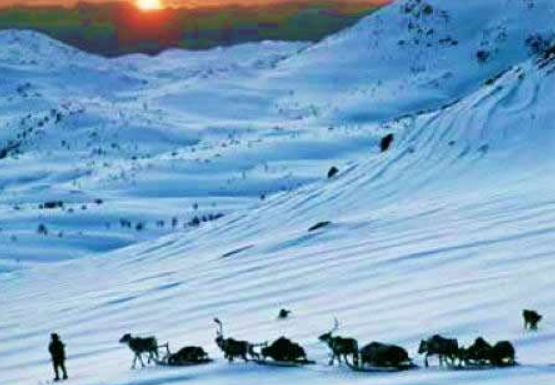 冰葬是什么原理