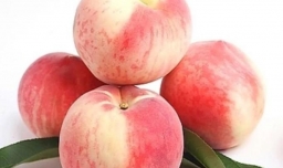 周公解梦 孕妇梦见桃子预示吉祥？