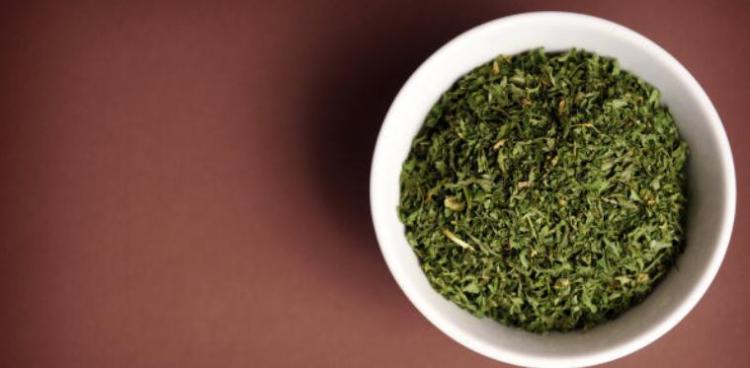 绞股蓝的副作用有哪些