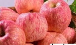 空腹可以吃苹果吗