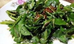 如何简单食用蒲公英