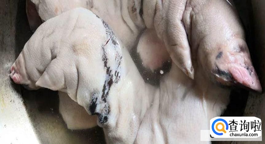 猪手如何处理才干净