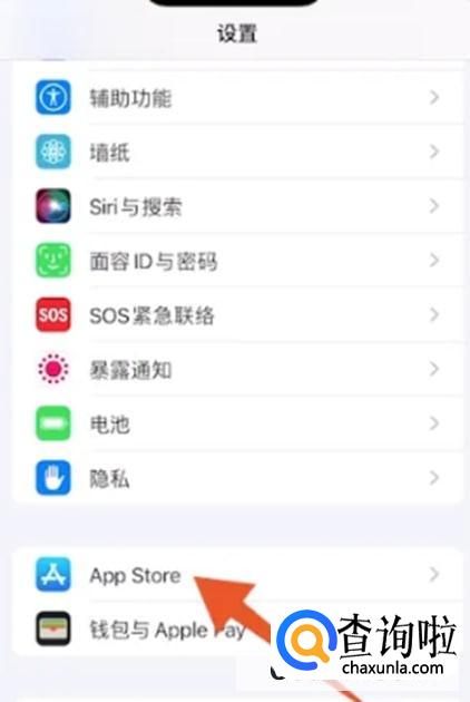 苹果手机如何清除app数据