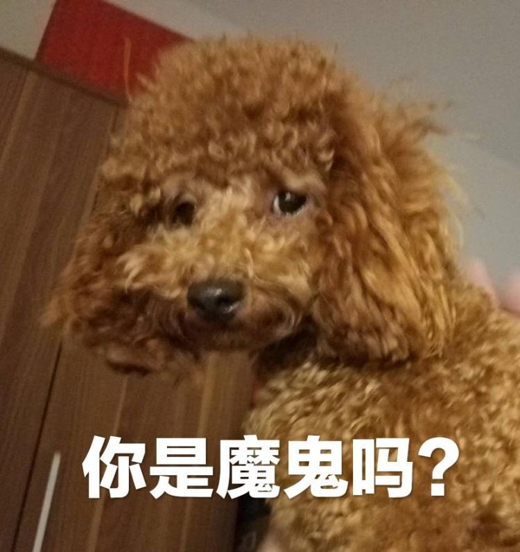 你是魔鬼吗是什么梗