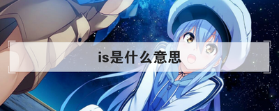 is是什么意思