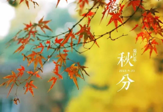 秋分是什么节气