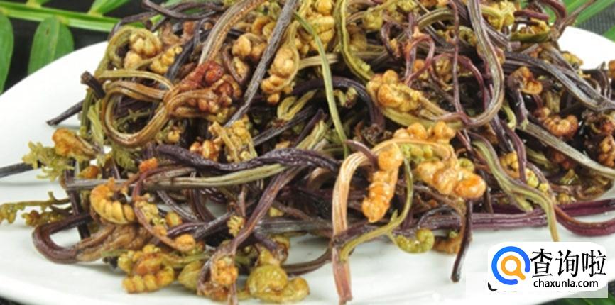 蕨菜的食用方法有哪些