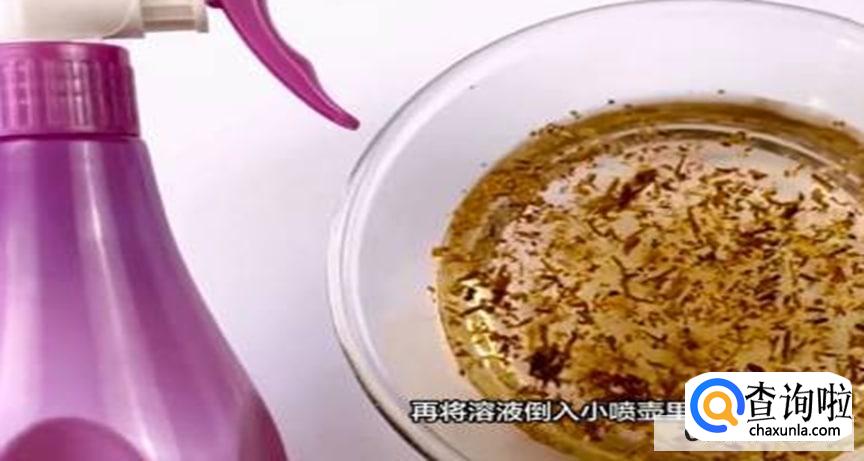 如何去除家里的蚂蚁