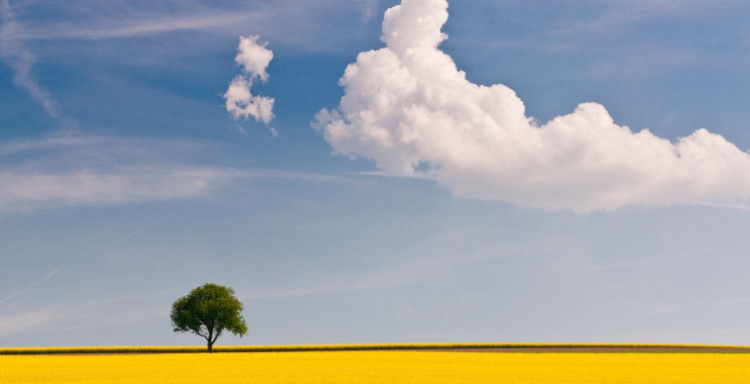 心旷神怡什么意思