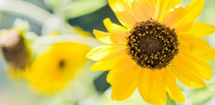 恍恍惚惚的意思是什么