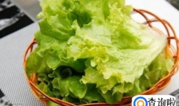 怎么凉拌生菜？凉拌生菜怎么做好吃