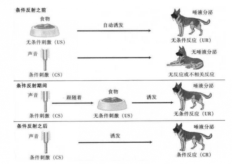 一朝被蛇咬十年怕井绳属于什么现象