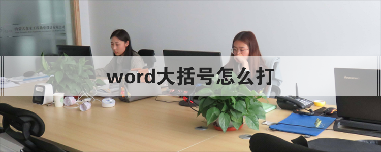 word大括号怎么打