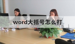 word大括号怎么打
