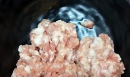 经典骨汤鲜肉馄饨的做法