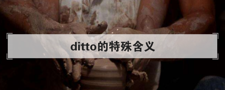 ditto的特殊含义