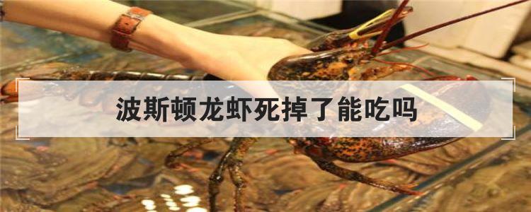 波斯顿龙虾死掉了能吃吗