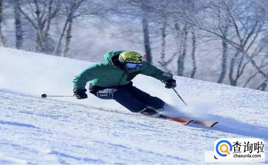 滑雪单板容易还是双板好学