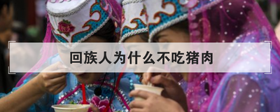 回族人为什么不吃猪肉