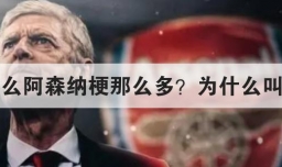 为什么阿森纳梗那么多？为什么叫梗王