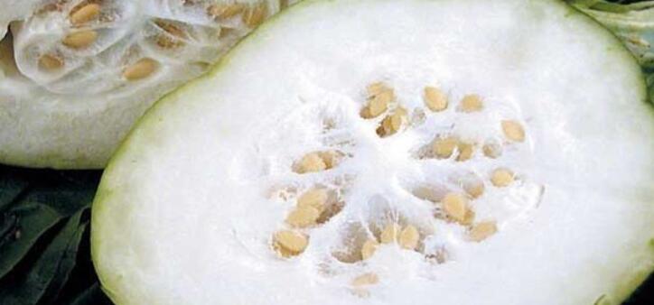 冬瓜子的功效与作用