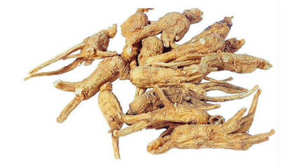 当归怎么搭配不上火