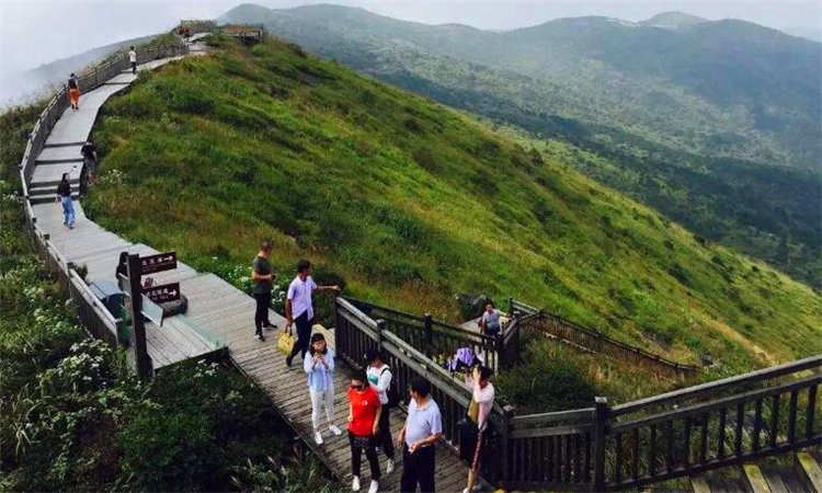 金饶山在哪里