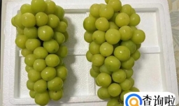 什么原因让阳光玫瑰价格大跳水