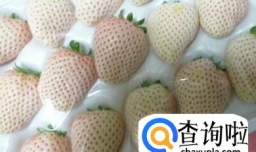 白草莓是变异产生的吗？