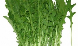 曲麻菜包饺子做法