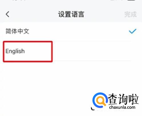 Top Widgets怎么把软件界面修改成英文