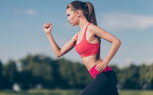 枸杞的功效与作用