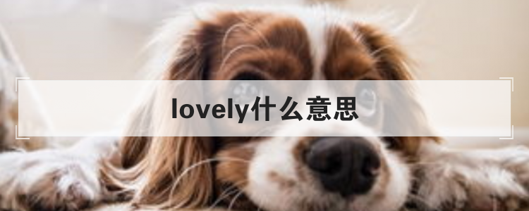 lovely什么意思