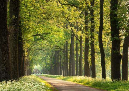 每年什么时候是森林防火戒严期