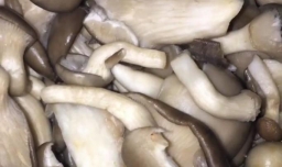 怎么做平菇肉片比较好吃？