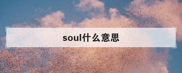 soul什么意思