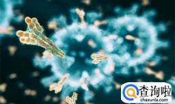 新冠抗体还有保护作用吗 新冠抗体是不是越高越好
