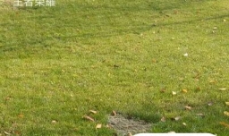 王者荣耀如何买/卖铭文