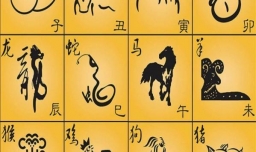 男肖是哪几个肖