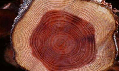 非洲酸枝差在哪里