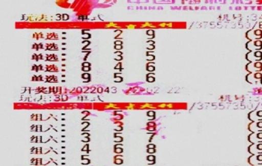 网信彩票app官网下载