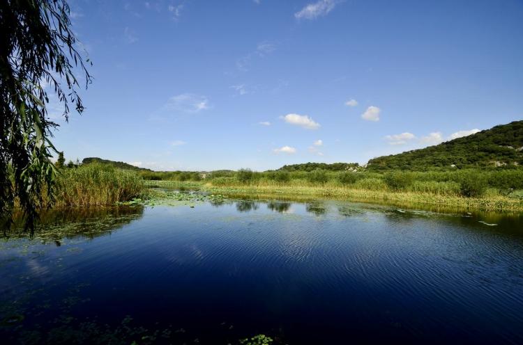 为什么湿地被称为地球之肾