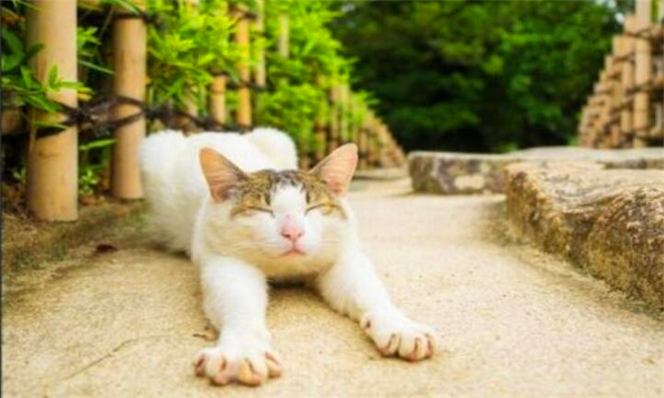 晒太阳有什么好处