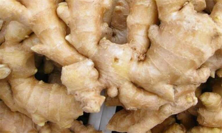 姜晒绿了可以吃吗